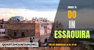 12 Best Things to Do in Essaouira: A Comprehensive Guide