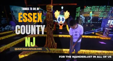 12 Must-Do Activities in Essex County, NJ