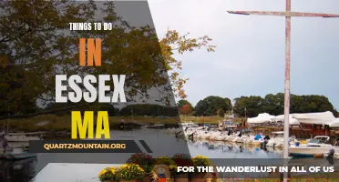 12 Fun Things to Do in Essex, MA