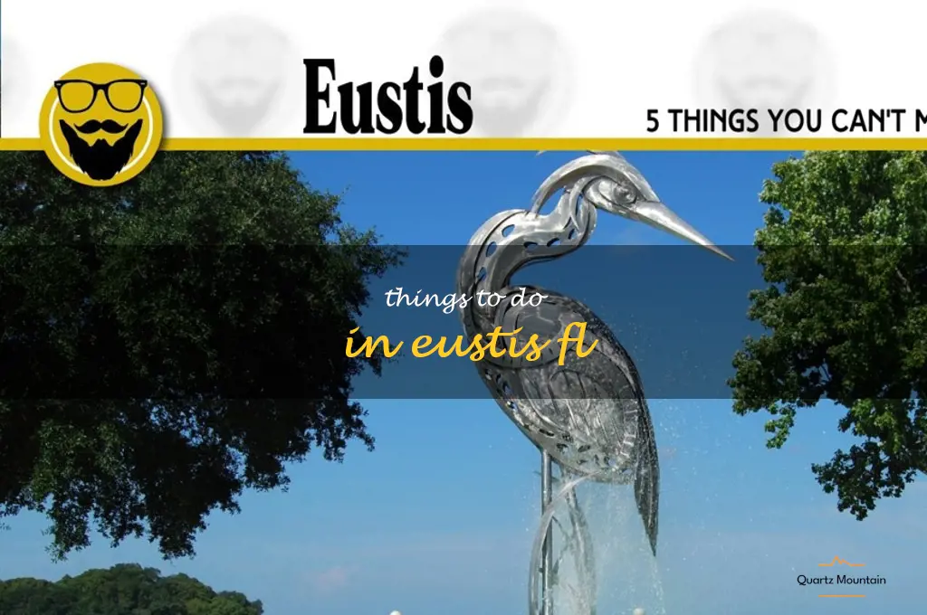 things to do in eustis fl