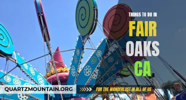 14 Fun Activities to Experience in Fair Oaks CA