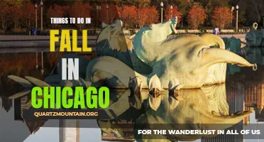 13 Must-Do Activities in Chicago During Fall