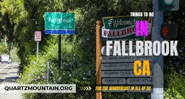 13 Fun Things to Do in Fallbrook, CA This Fall