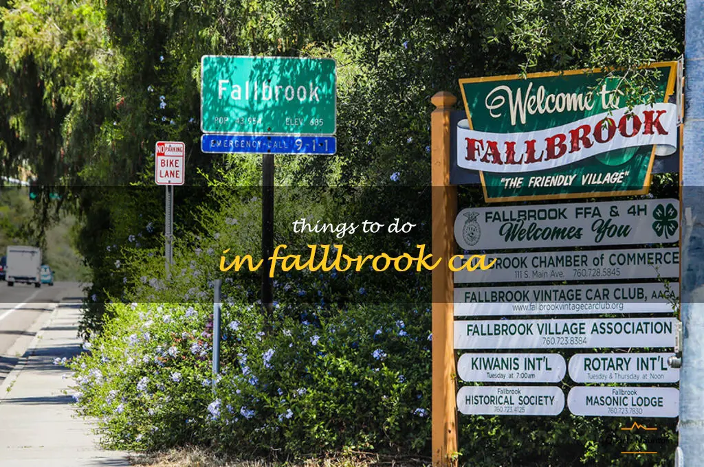 things to do in fallbrook ca