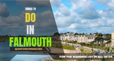 13 Fun And Interesting Things To Do In Falmouth