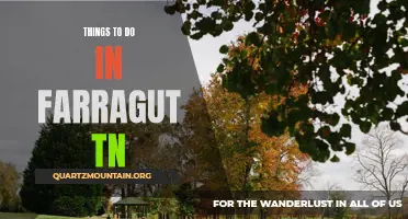 Explore Farragut, TN: Top 10 Activities and Attractions