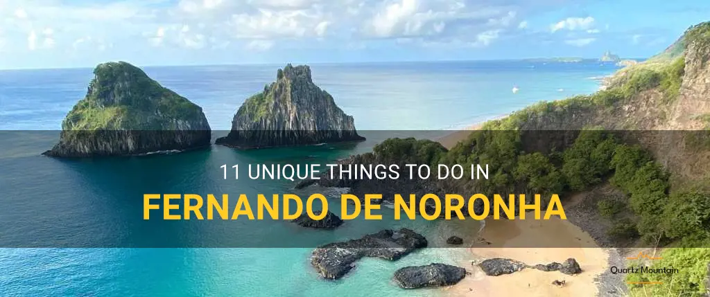 things to do in fernando de noronha