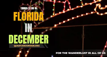 12 Fun Activities to Enjoy in Florida this December