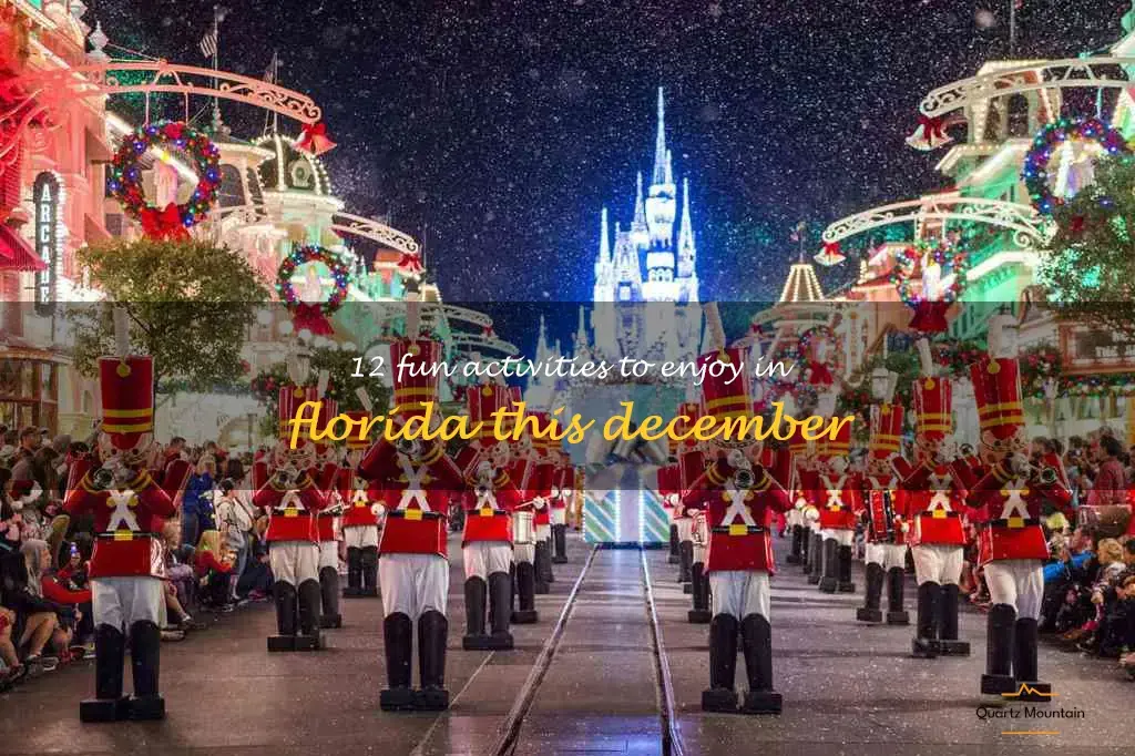 things to do in florida in december