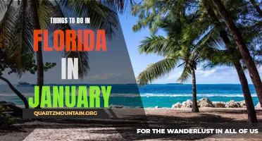10 Exciting Activities to Experience in Florida During January