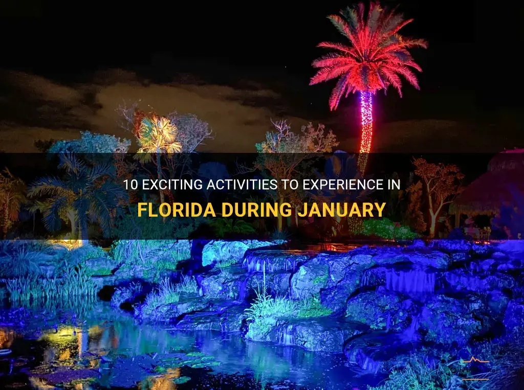 things to do in florida in january