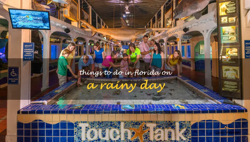 things to do in florida on a rainy day