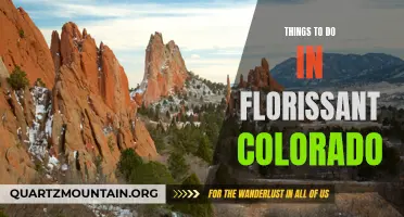 12 Must-See Attractions and Activities in Florissant Colorado