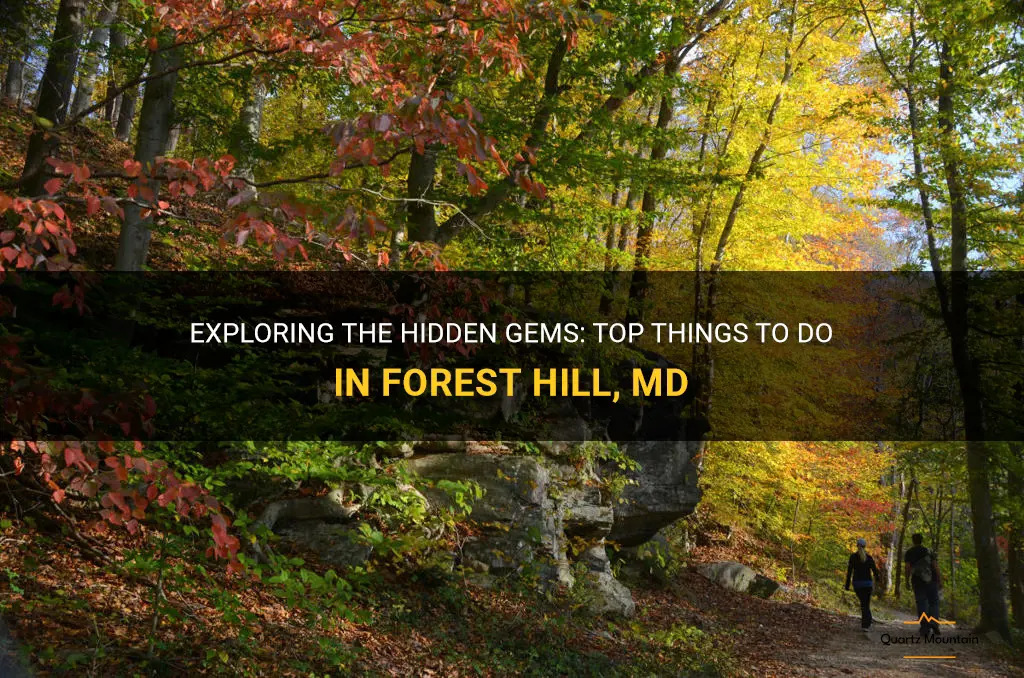 things to do in forest hill md