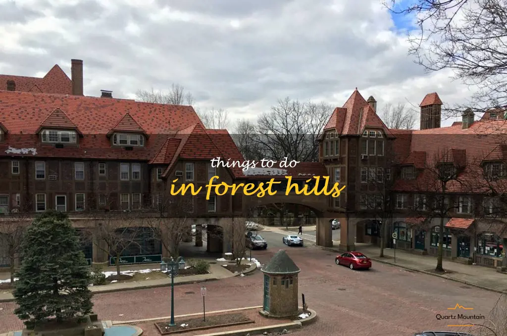 things to do in forest hills