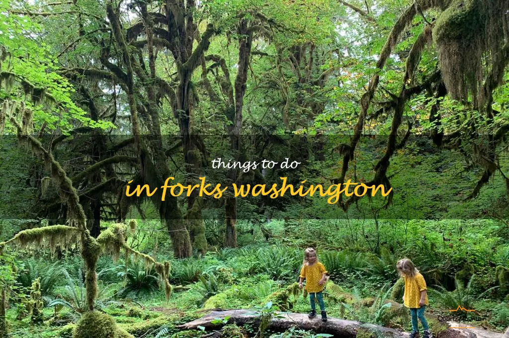 things to do in forks washington