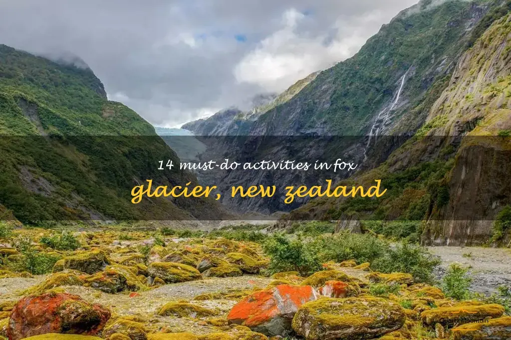 things to do in fox glacier new zealand