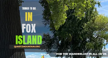 10 Fun Activities to Try on Fox Island