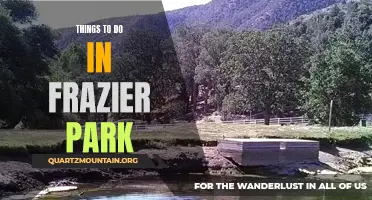 13 Fun-Filled Activities to Experience in Frazier Park