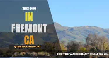 12 Fun Things to Do in Fremont, CA