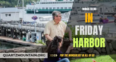 12 Fun Things to Do in Friday Harbor for a Memorable Trip