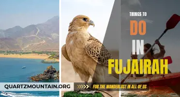 12 Amazing Activities to Experience in Fujairah
