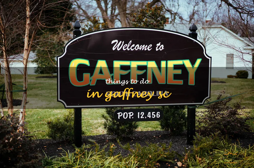 things to do in gaffney sc