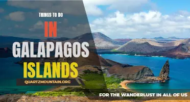 14 Amazing Things to Do in the Galapagos Islands