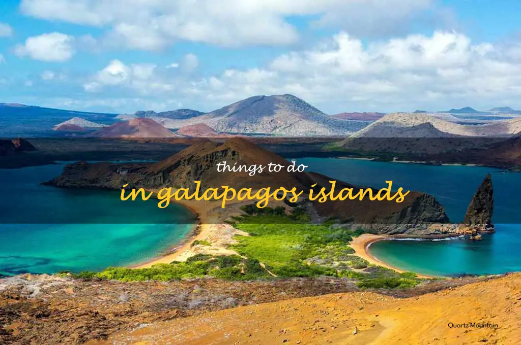 things to do in galapagos islands