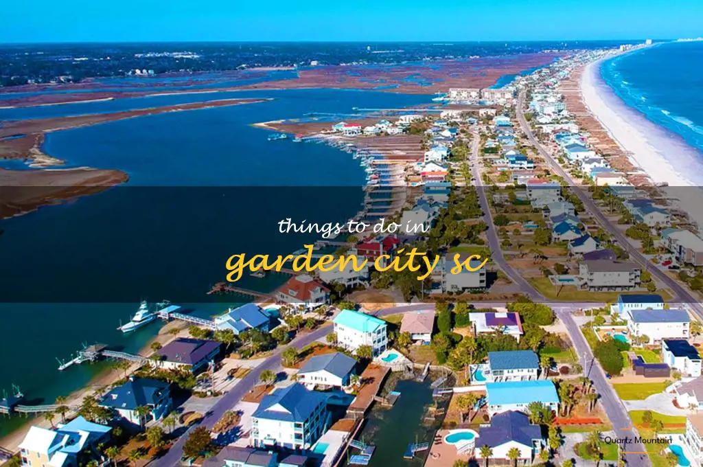 things to do in garden city sc