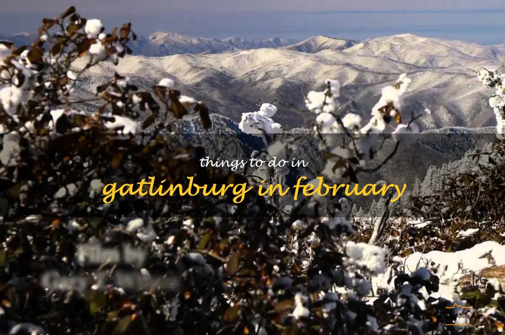 things to do in gatlinburg in february