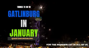 The Ultimate Guide to Exploring Gatlinburg in January: Top Attractions and Activities