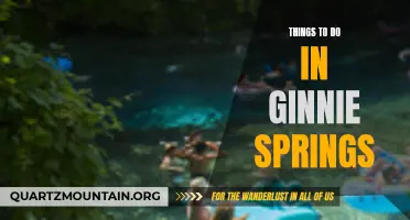 11 Fun-Filled Activities at Ginnie Springs You Can't Miss
