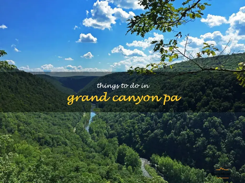 things to do in grand canyon pa