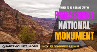 12 Exciting Activities to Experience in Grand Canyon Parashant National Monument