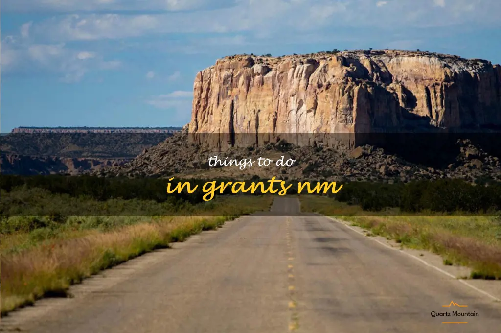 things to do in grants nm