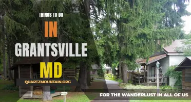 12 Exciting Activities to Experience in Grantsville MD