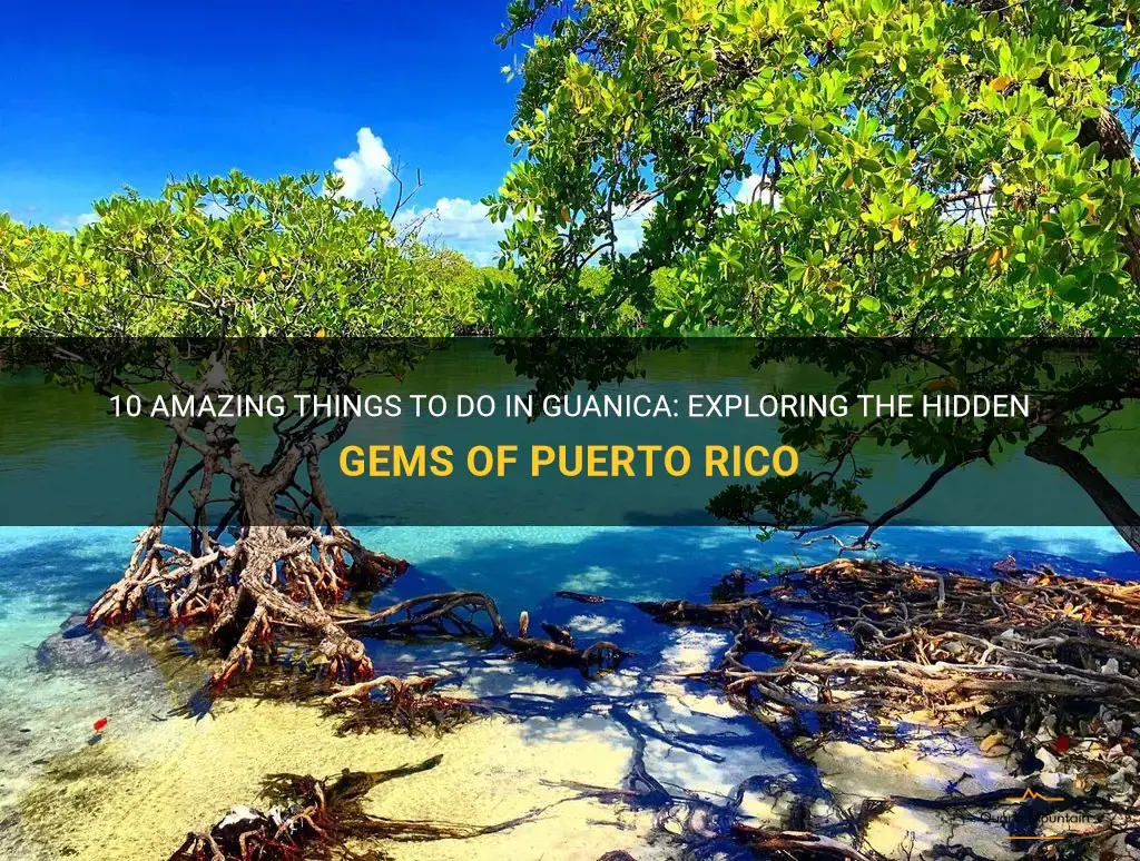 things to do in guanica
