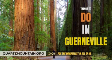 12 Fun Things to Do in Guerneville, California