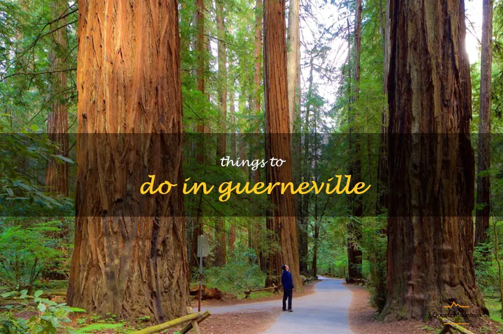 things to do in guerneville