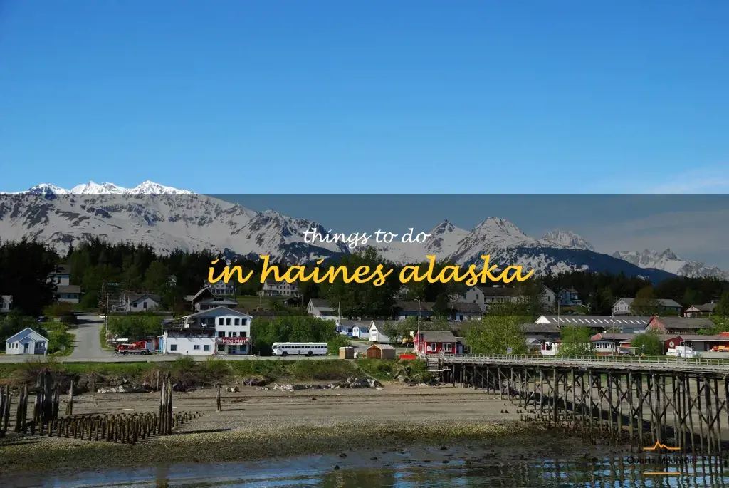 things to do in haines alaska