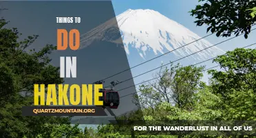 12 Must-Do Activities for a Memorable Hakone Experience