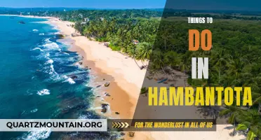 Uncovering Unique Adventures: 10 Things to Do in Hambantota