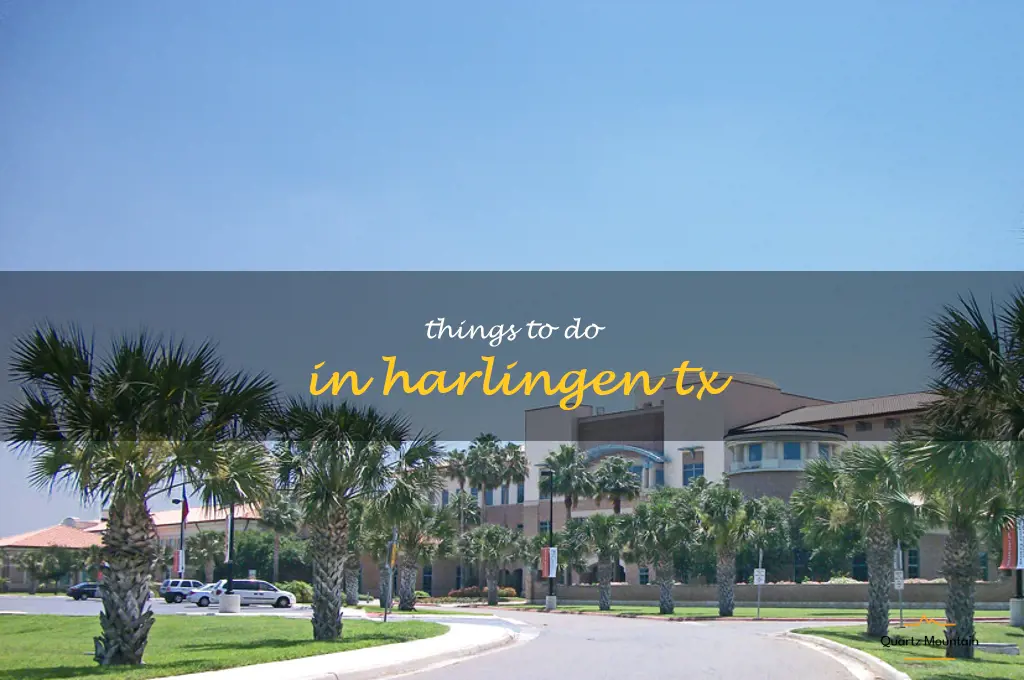 things to do in harlingen tx