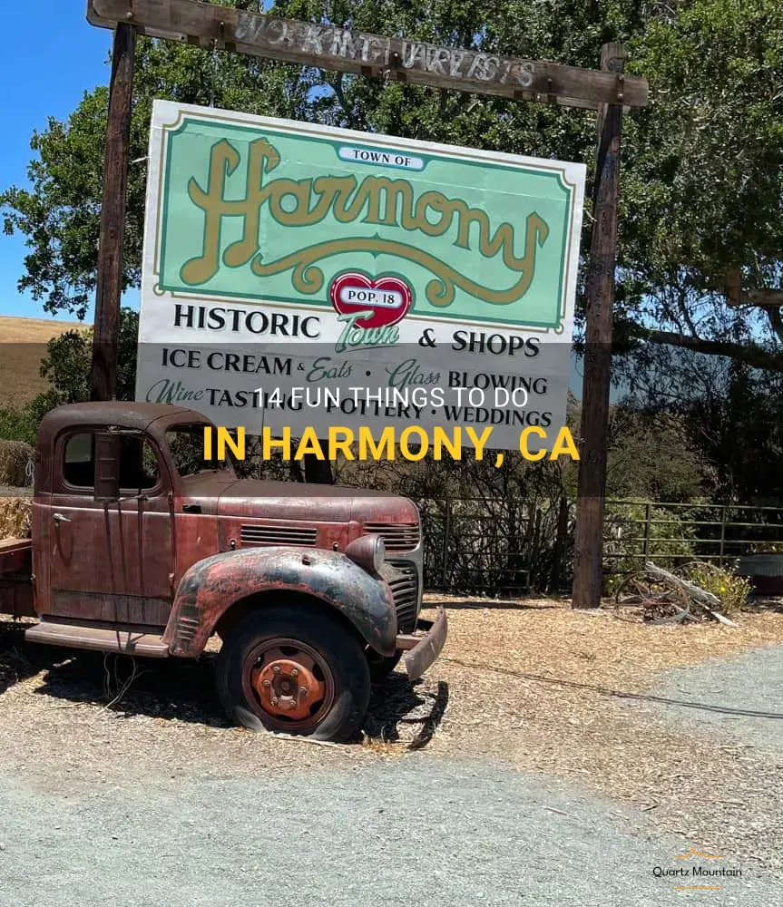things to do in harmony ca