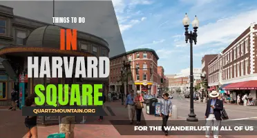 11 Fun Things to Do in Harvard Square