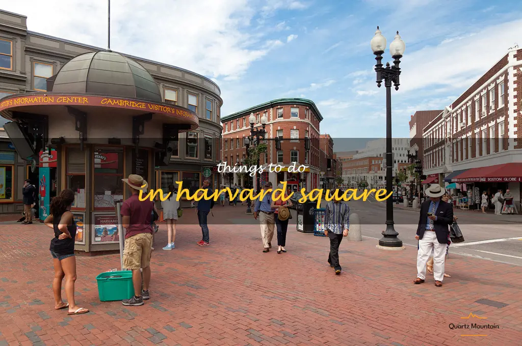 things to do in harvard square