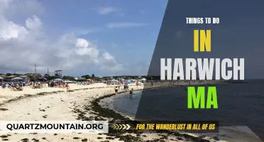 13 Fun Things to Do in Harwich MA for an Unforgettable Vacation