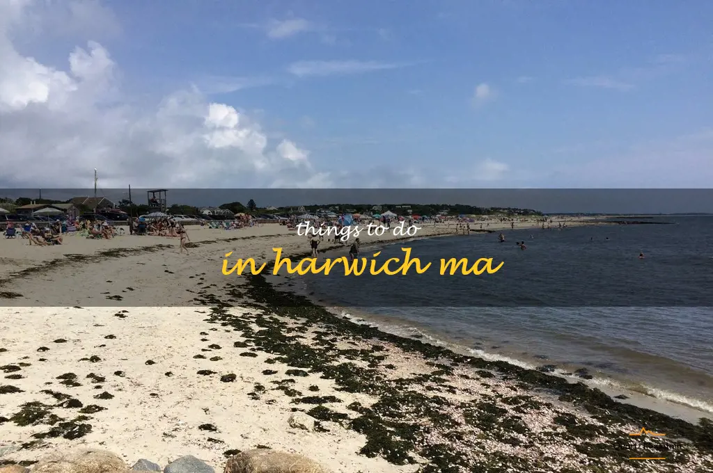 things to do in harwich ma