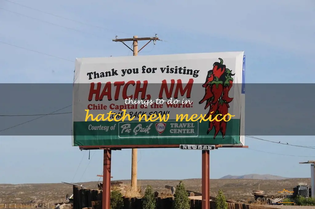 things to do in hatch new mexico